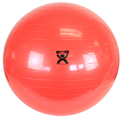 Zenzation 26in Exercise Ball Black - ONLINE ONLY: Quinebaug Valley